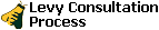 Levy Consultation Process